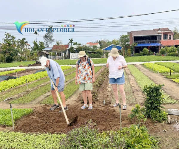 Hoi An Tours